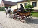 Die offene Wagonette für 5 Personen