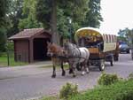 Mailo und Mara