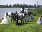 An der alten Elbe in Lostau