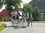 Weiße Kutsche auch zur silbernen oder goldenen Hochzeit