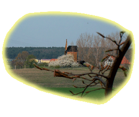 Blick auf die Mühlenschänke Lostau